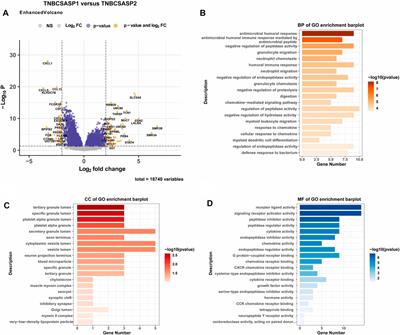 A senescence-associated signature refines the classification of different modification patterns and characterization of tumor immune microenvironment infiltration in triple-negative breast cancer